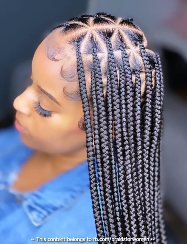 Knotless Braids Hairstyles for 2024 | Styles for All Hair Types + hwb ...